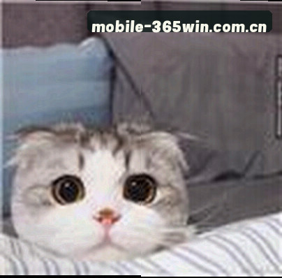 王磊